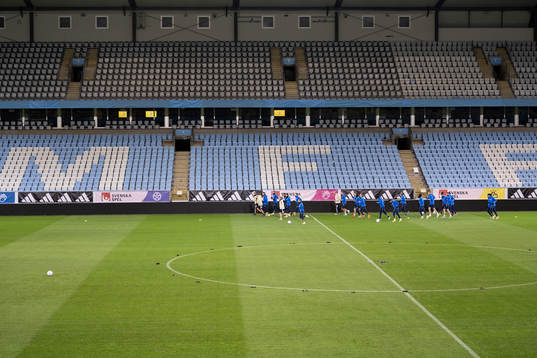 General view of the Swedish national football team