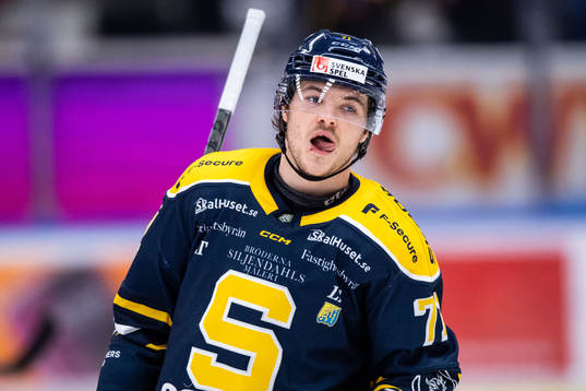 Södertäljes Renars Krastenbergs deppar