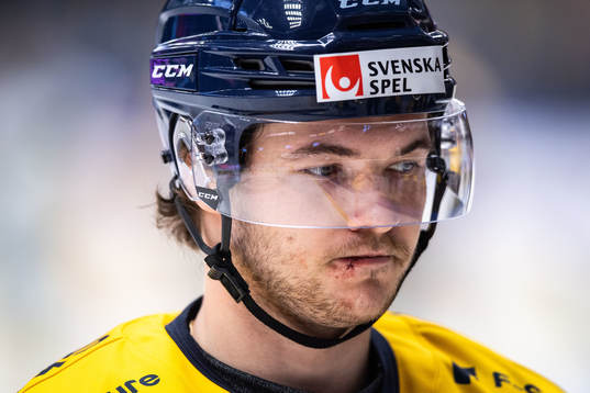 Södertäljes Renars Krastenbergs deppar