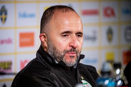 Head coach Djamel Belmadi of Algeria