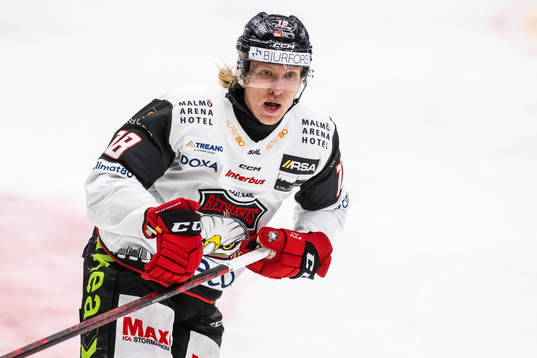 Malmö Redhawks Marcus Sylvegård