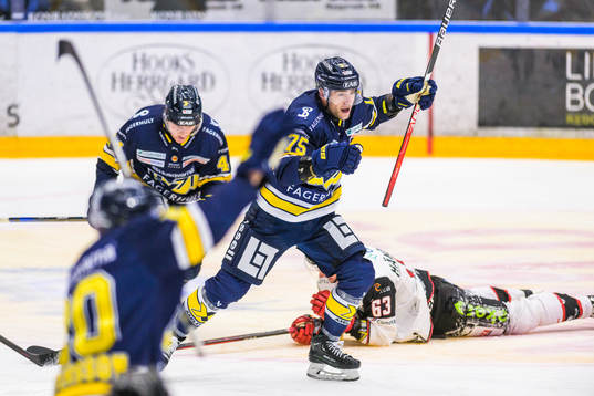 HV71s Radan Lenc jublar