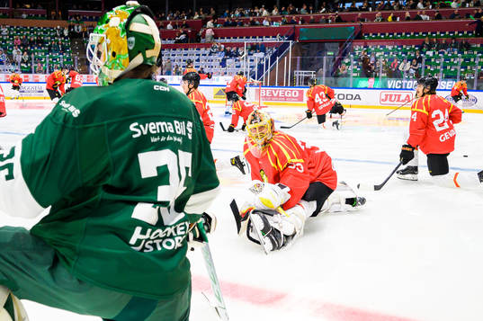 Brynäs målvakt Anders Lindbäck