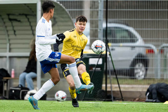 Elfsborgs Dag Hallgren