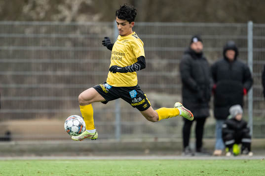 Elfsborgs Armin Ovaidi