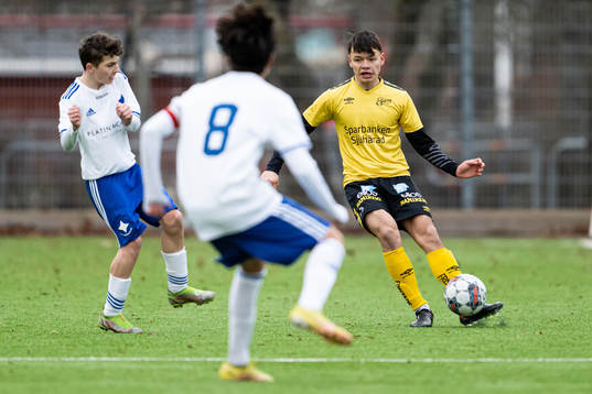 Elfsborgs Dag Hallgren