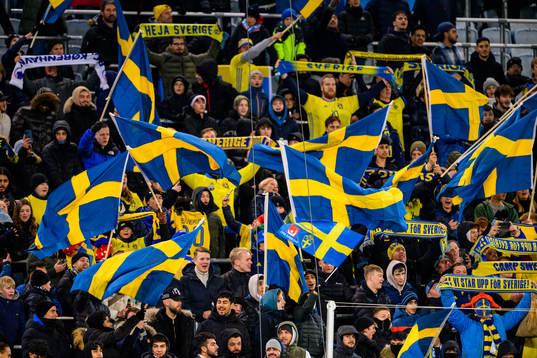 during the international friendly football match between