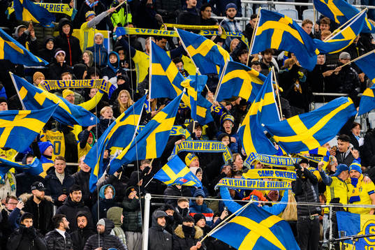 during the international friendly football match between