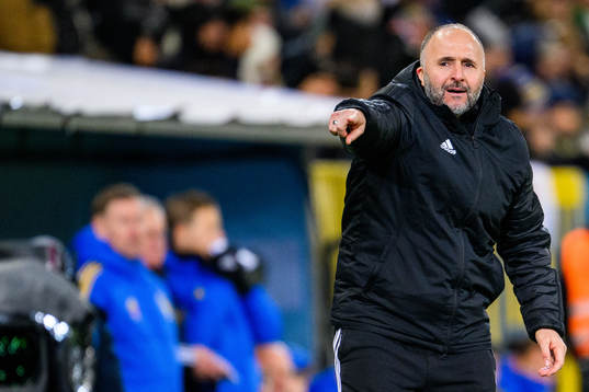 Head coach Djamel Belmadi of Algeria