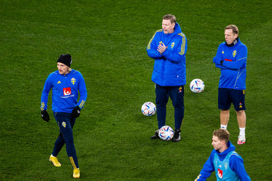 Assistant coach Peter Wettergren of Sweden