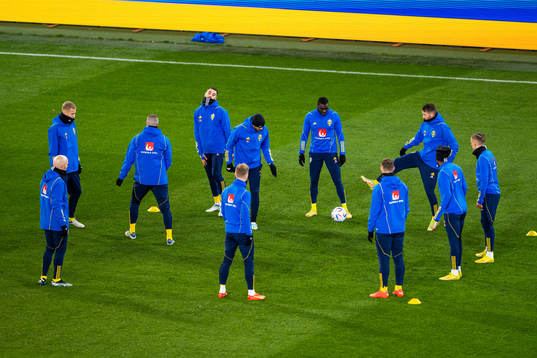 Players of Sweden