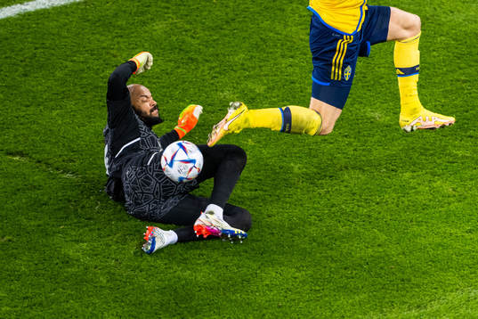 goalkeeper Rais Mbolhi of Algeria
