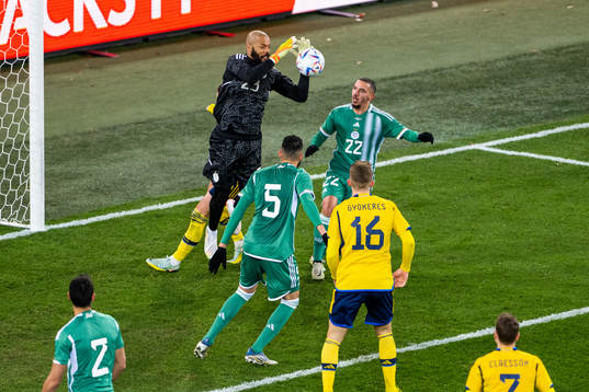 goalkeeper Rais Mbolhi of Algeria