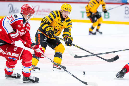 Skellefteås Andreas Wingerli