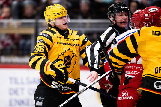Skellefteås Rickard Hugg
