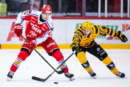 Timrås Joonas Lyytinen och Skellefteås Rickard Hugg