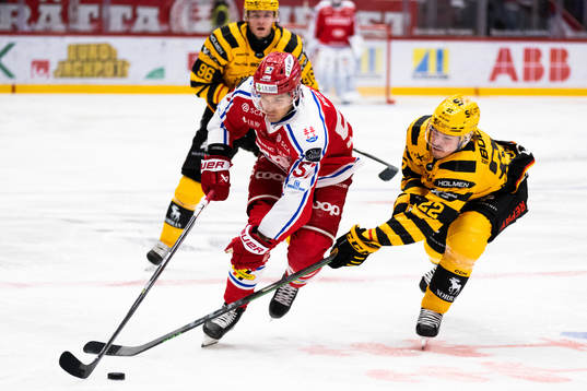 Timrås Anton Wedin och Skellefteås Jonathan Johnsson
