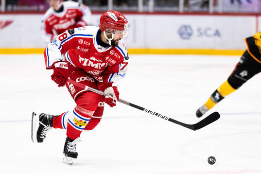 Timrås Robin Hanzl