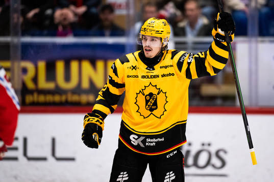 Skellefteås Jonathan Johnsson jublar