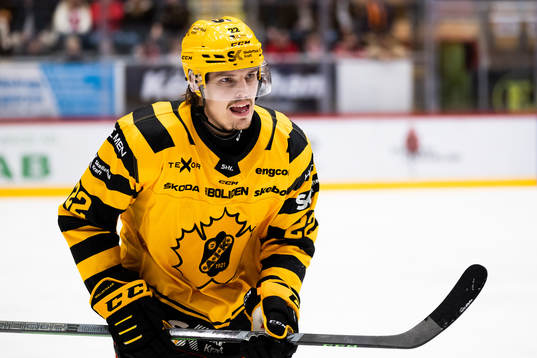 Skellefteås Jonathan Johnsson jublar