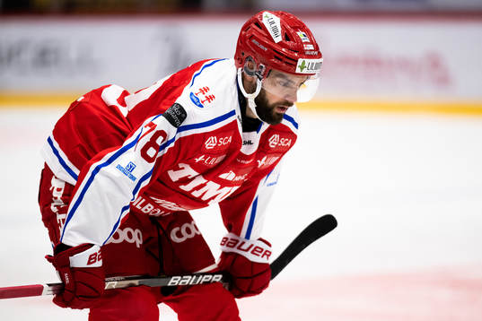 Timrås Robin Hanzl