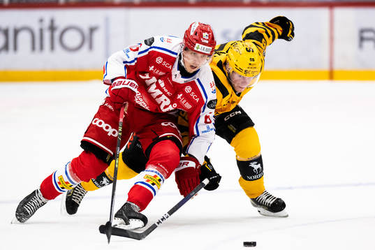 Timrås Joonas Lyytinen och Skellefteås Rickard Hugg