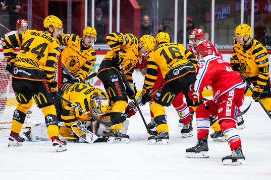 Skellefteås målvakt Linus Söderström