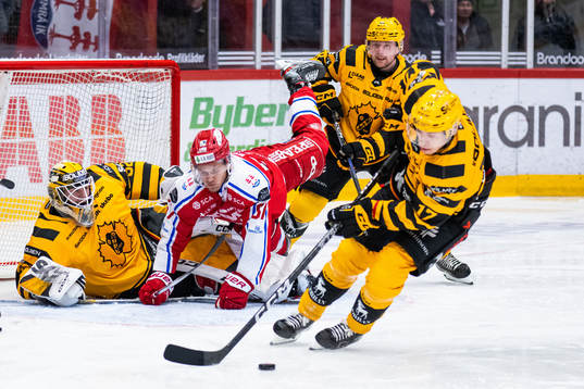 Skellefteås målvakt Linus Söderström och Timrås Anton