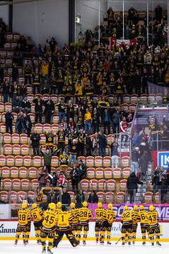 Skellefteås spelare jublar med supportrarna
