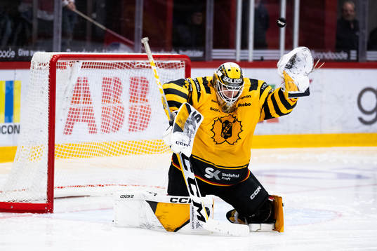 Skellefteås målvakt Linus Söderström