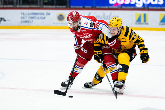 Timrås Robin Hanzl och Skellefteås Elias Stenman
