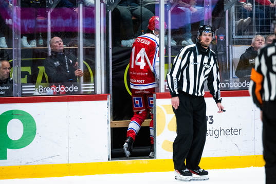 Timrås Emil Pettersson utvisas