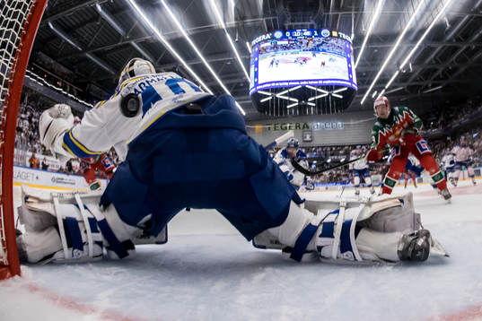 Leksands målvakt Mantas Armalis