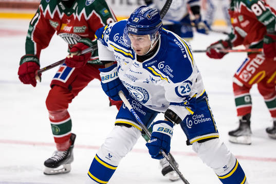 Leksands Mikael Ruohomaa