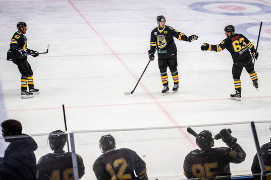 Panterns Sebastian Molldén, Nicolas Erb-Ekholm och Viktor