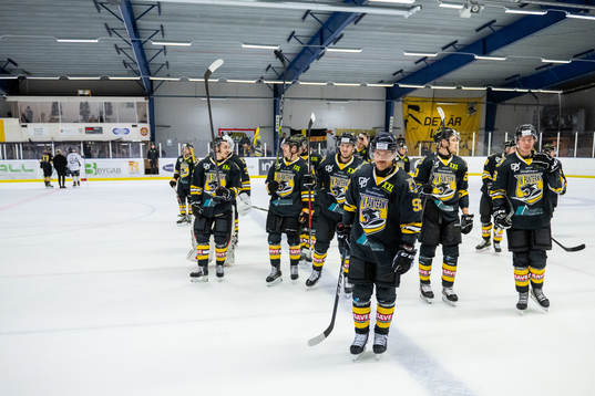 Panterns spelare jublar