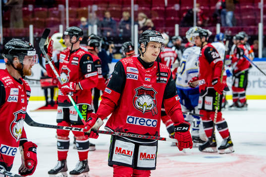 Malmö Redhawks Theodor Johnsson deppar med lagkamraterna