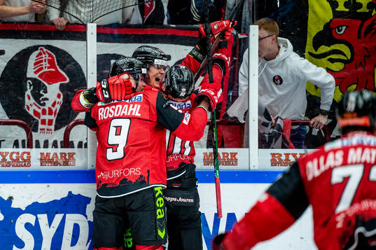 Malmö Redhawks Fredrik Händemark jublar med lagkamraterna