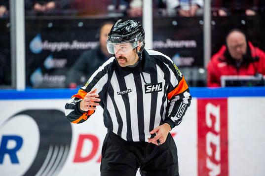 Domare Mikael Sjöqvist