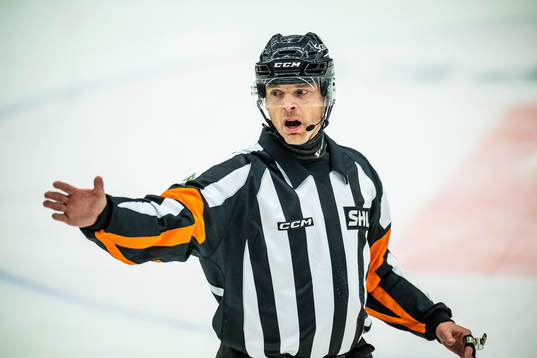 Domare Mikael Andersson