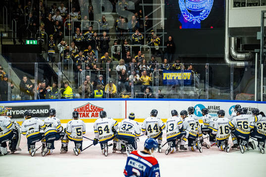 HV71s spelare jublar