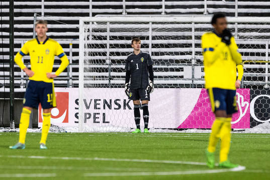 Sveriges målvakt Andre Picornell deppar