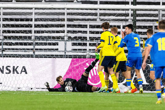 Sveriges målvakt Andre Picornell