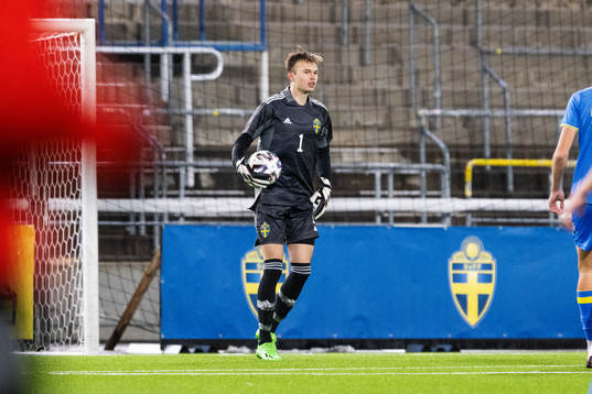Sveriges målvakt Andre Picornell