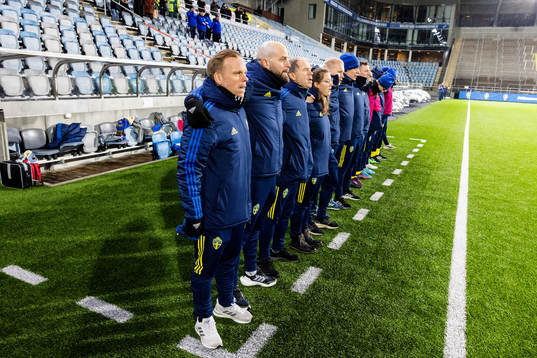 Sveriges ledarstab