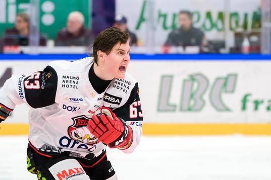 Malmö Redhawks Fredrik Händemark
