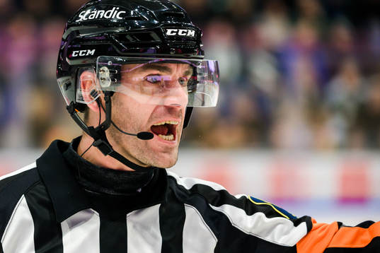 Domare Richard Magnusson