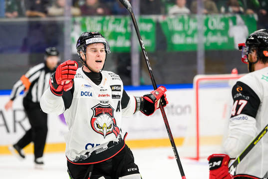 Malmö Redhawks Fredrik Händemark jublar