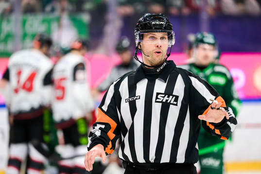 Domare Johan Magnusson