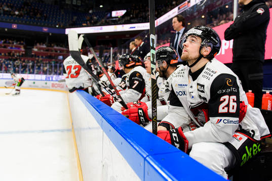 Malmö Redhawks Thomas Schemitsch